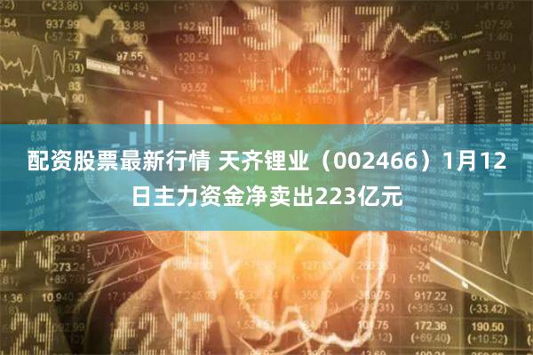 配资股票最新行情 天齐锂业（002466）1月12日主力资金净卖出223亿元