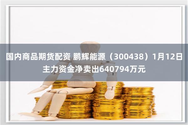 国内商品期货配资 鹏辉能源（300438）1月12日主力资金净卖出640794万元
