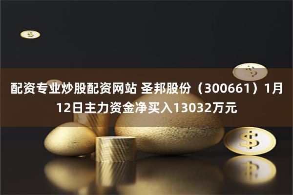 配资专业炒股配资网站 圣邦股份（300661）1月12日主力资金净买入13032万元
