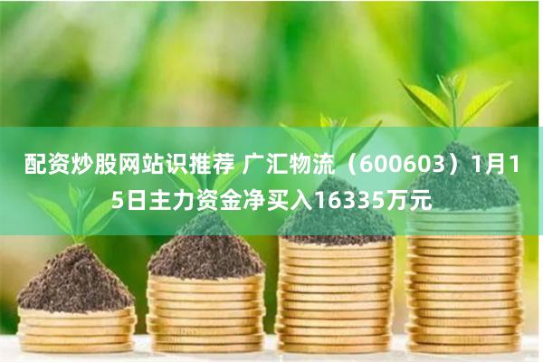 配资炒股网站识推荐 广汇物流（600603）1月15日主力资金净买入16335万元