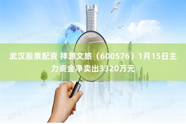 武汉股票配资 祥源文旅（600576）1月15日主力资金净卖出3320万元