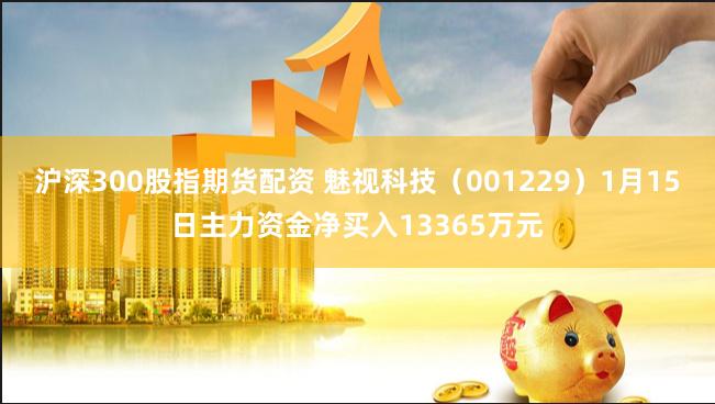 沪深300股指期货配资 魅视科技（001229）1月15日主力资金净买入13365万元